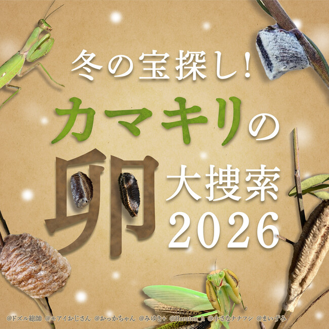 冬の”アレ”を探せ!Biomeで「カマキリの卵 大捜索2026」開始