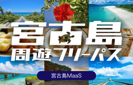 「宮古島周遊フリーパス」イメージ 「宮古島周遊フリーパス」イメージ