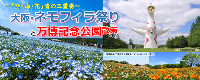 【小樽発着】新日本海フェリー