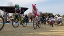 過去のレースの様子(1) 過去のレースの様子(1)