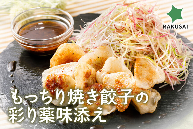 【時短・タイパ重視】包丁いらず、フライパン１つでできる！『もっちり焼き餃子の彩り薬味添え』