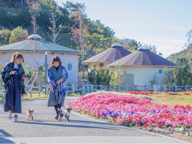 リゾート地・淡路島で愛犬と一緒に、誰にも邪魔されない“おこもり冬旅”を兵庫県淡路島「GRAND CHARIOT 北斗七星135°」冬季限定『愛犬と過ごす極上の冬のお籠りステイ』
