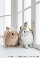 展示作品:Musee des Reves Mimi 展示作品:Musee des Reves Mimi
