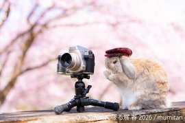 展示作品:mumitan 展示作品:mumitan