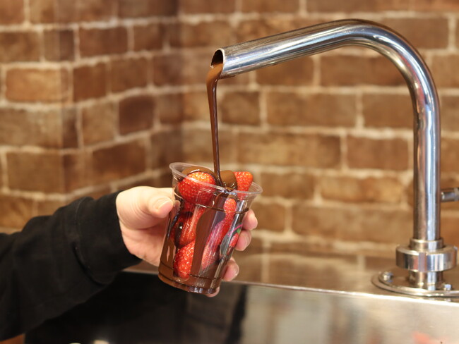 【越谷レイクタウン】究極の苺スイーツ。ストロベリーチョコ 専門店がイオンレイクタウンkazeに2026年2月5日（木）～2026年2月28日（土）バレンタイン限定販売！