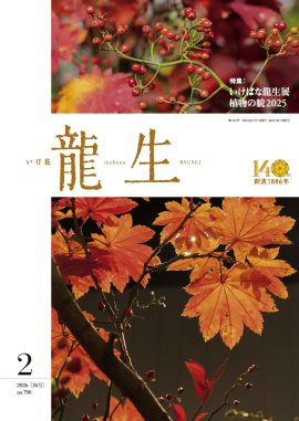 『いけ花龍生』2026年2月号表紙 『いけ花龍生』2026年2月号表紙
