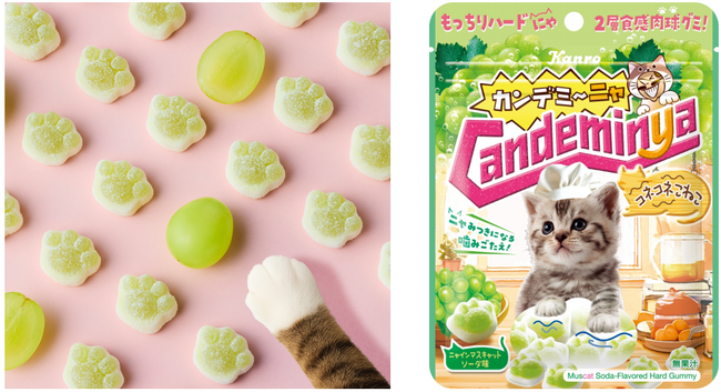 2月22日は「猫の日」！ こねこが“ふみふみ”して作った!?肉球型ハードグミカンロ 「カンデミーニャグミ コネコネこねこ」 発売