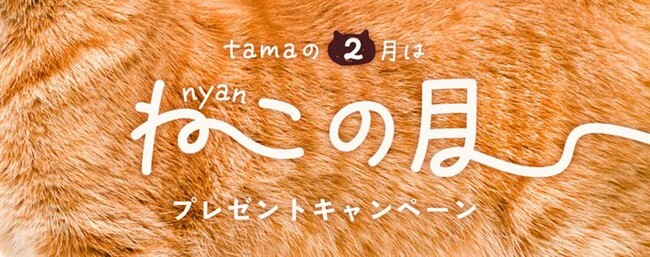 《tama》1カ月まるごと猫と楽しむ【2月は猫の月】特別キャンペーンを開催！