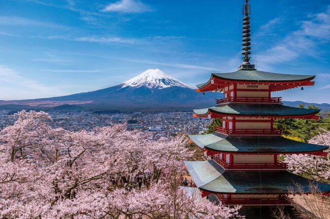 毎年20万人が訪れる、富士吉田市の春の風物詩　新倉山浅間公園桜まつりを開催しないことに決定