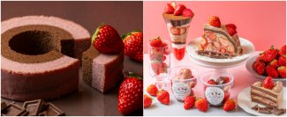 ＜いちご専門店の道の駅 いちごBonBonBERRY＞累計7万個突破！「いちごのバウムクーヘン」にショコラの味わいが2/1より新登場！「静岡県産いちごととろけるショコラフェア」も同時開催中