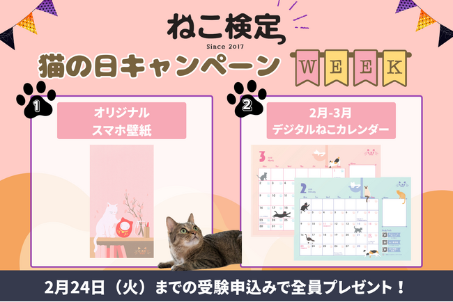 2月22日は猫の日!『ねこ検定 猫の日キャンペーンウィーク』スタート