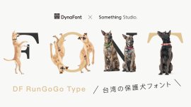 DF RunGoGo Typeバナー