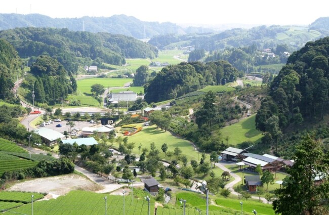 【JAF静岡】「花咲く!夢咲く!御前崎早春BBQウォーク」を開催します