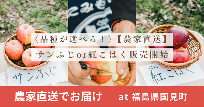【農家直送でお届け】家庭用～大容量サイズのサンふじor紅こはく販売開始