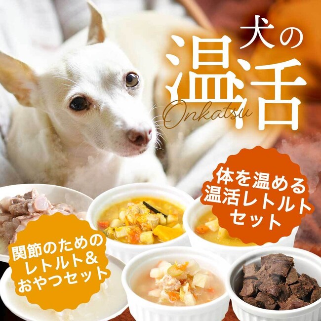 《POCHI》ぽかぽか温活セット（犬用）2種を数量限定販売