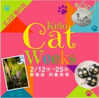 【2月22日 猫の日】京王百貨店新宿店では「Keio Cat Weeks」を開催します。人気の猫写真家とのコラボレーション企画や
猫モチーフの菓子・アイテムが集結！