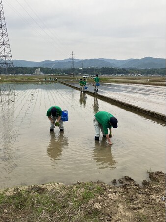 長岡農業高校生が手がける「〇結(えんむすび)」