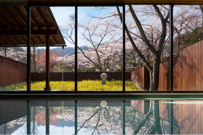 【界 鬼怒川】喧騒を離れ、桜と温泉に心ゆくまで癒される「花見温泉滞在」を開催