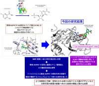 抗ウイルス薬ファビピラビルの活性化の鍵となる酵素反応を可視化 ―高い薬効を発揮できる新薬の創製へ向けた新たな手法開拓―（北里大学）