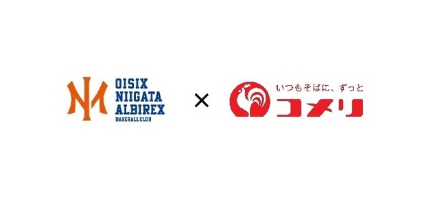 オイシックス新潟アルビレックスBC ユニフォームトップス・胸上(右)契約更新のお知らせ