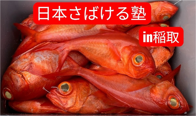 キンメ漁発祥の地で金目鯛を捌いて稲取名産『金目鯛の味噌漬け』を作ろう！『日本さばける塾 in 稲取』を開催！