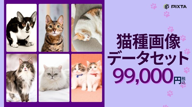 PIXTA、機械学習用「猫種画像データセット」販売開始