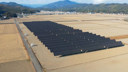 太陽光パネルの角度を自動制御する国内最大級の営農型太陽光発電所が徳島県小松島市で稼働開始