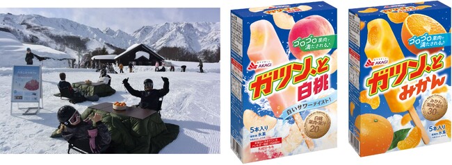 雪山のこたつで「ガツン、とみかん」！！ ゴロゴロ果肉で冬の贅沢な果実体験！ 2月23日（月）新発売「ガツン、と白桃」の先行試食も実施します♪