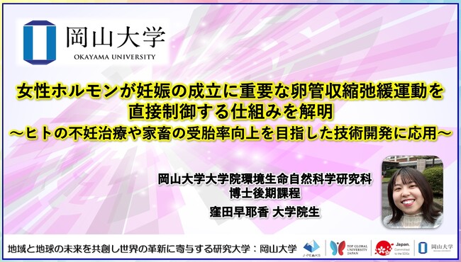 【岡山大学】女性ホルモンが妊娠の成立に重要な卵管収縮弛緩運動を直接制御する仕組みを解明～ヒトの不妊治療や家畜の受胎率向上を目指した技術開発に応用～