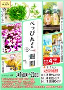 べっぴんさんvol.11 べっぴんさんvol.11