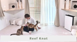 譲渡希望より保護依頼が多い現実——京都・亀岡のReef Knot、2150冊の絵本寄贈と教育活動で“蛇口を閉める”挑戦 譲渡希望より保護依頼が多い現実——京都・亀岡のReef Knot、2150冊の絵本寄贈と教育活動で“蛇口を閉める”挑戦