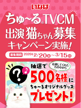 いなばペットフード 2026年TVCM 出演猫ちゃん大募集×プレゼントキャンペーン開催中