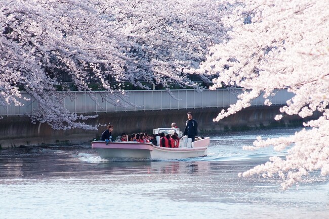 【東京ベイ潮見プリンスホテル】桜と潮風を愉しむ“桜づくし体験” 桜クルーズ&人力車で潮見ならではのお花見を