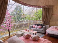 ＜1日1棟限定＞ 花粉・寒さゼロの「インドアお花見」×「夜桜BBQ」でW満喫！ブリリアントヴィレッジ日光、春限定プランを3/9より期間限定スタート