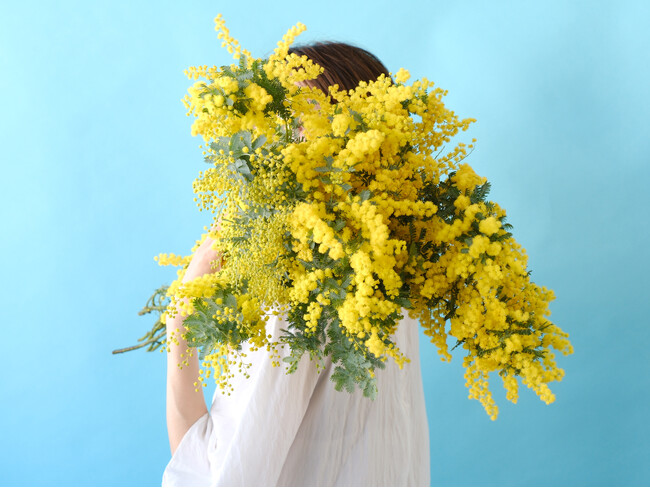 サクラサク、ミモザも咲く！春を告げる3月のおすすめ花感謝を伝えるミモザ、門出を祝う桜。春のはじまりに贈りたい花をお届けします