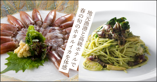 春の富山だけの贅沢。漁港で味わう極上ホタルイカの朝食と、ホテルニューオータニ（東京）で堪能する珠玉の特別メニュー