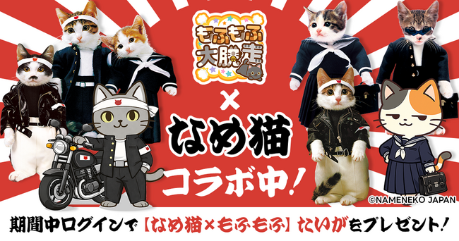 POCKET RDの大人気ゲームが『なめ猫』とのコラボを開催！