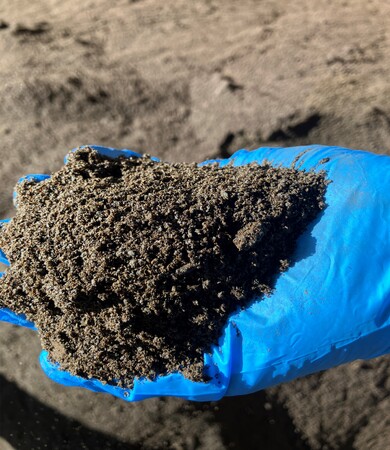 紅茶飲料の製造過程にて発生する紅茶粕を牛の飼料として活用開始