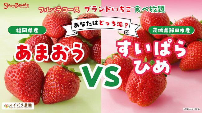 【スイパラでいちご狩り】いちごの王様「あまおう」 vs 2年連続大賞農家の「すいぱらひめ」を食べ比べ！贅沢「こぼれいちごのショートケーキ」も登場