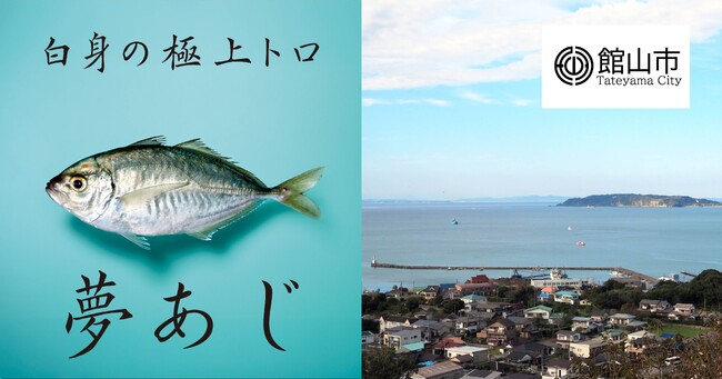 さかなドリーム、世界初の養殖魚「夢あじ」を館山市ふるさと納税返礼品として出品開始