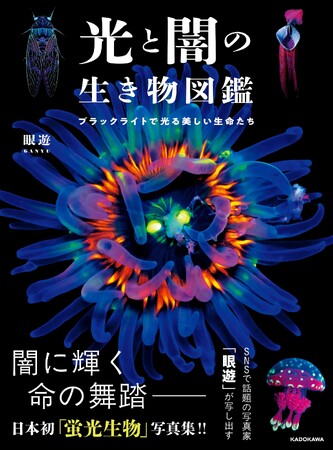 SNSでバズり続ける写真家・眼遊（GANYU）初写真集『光と闇の生き物図鑑 ブラックライトで光る美しい生命たち』2026年2月27日（金）発売！