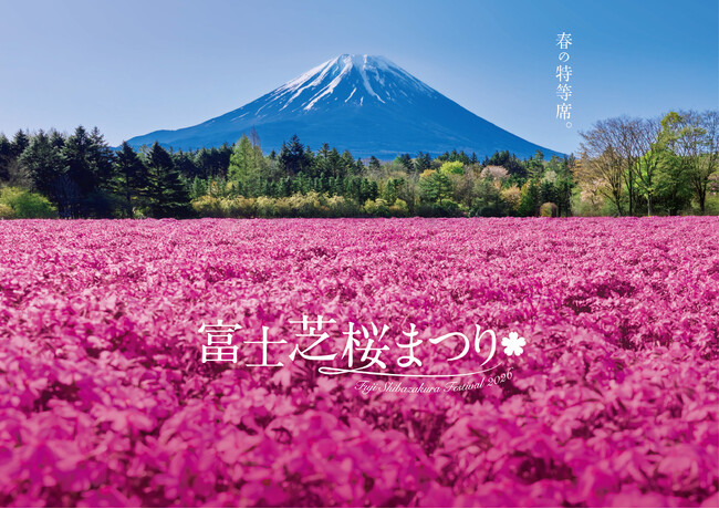 一面ピンクに染まる富士山麓の春の祭典「富士芝桜まつり」 4/11(土)開幕