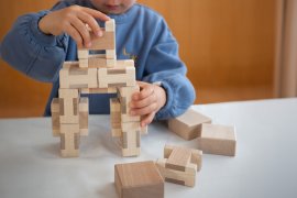 あそび広がる組木の積木「Teneru」 あそび広がる組木の積木「Teneru」