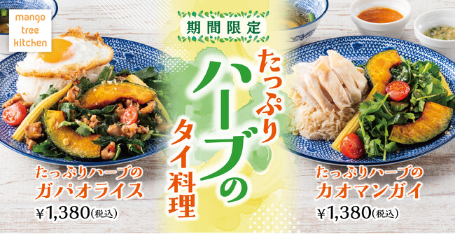 【ハーブ香る新感覚タイ料理】ハーブのガパオライス＆ハーブのカオマンガイがマンゴツリーキッチンに新登場！