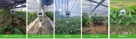 南種子町IoTセンシング機器設置の圃場 南種子町IoTセンシング機器設置の圃場