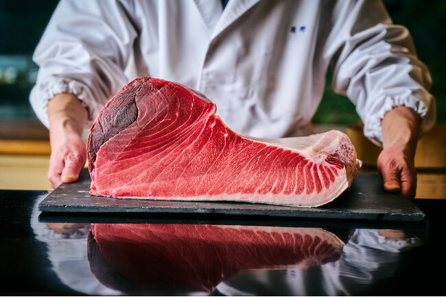 【ヒルトン東京お台場】 “国産「生」本マグロ”を通年で提供 寿司「さくら」ランチ・ディナー全コースにて