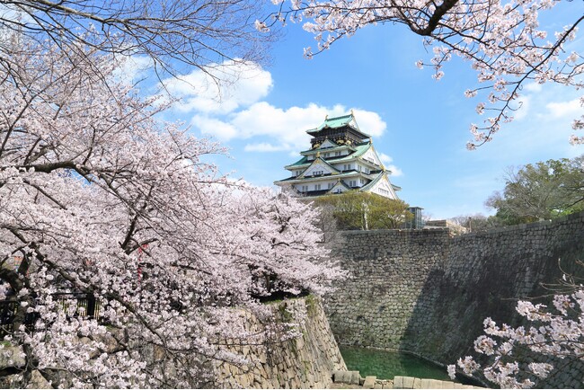 【1日5室限定】お部屋で”プライベートお花見”。ホテルで叶う、絶景＆美食の極上春ステイ