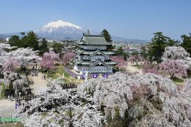 弘前さくらまつり 弘前さくらまつり