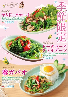 菜の花×本格タイ料理 人気3メニュー 菜の花×本格タイ料理 人気3メニュー