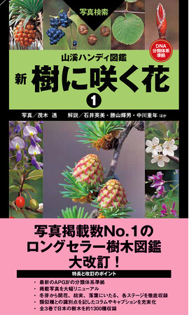 圧倒的写真掲載数を誇るロングセラー樹木図鑑『山溪ハンディ図鑑　樹に咲く花』が、最新の分類体系で大幅リニューアル！